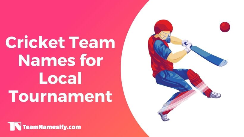 You are currently viewing Cricket Team Names for Local Tournament