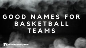 Read more about the article Good Names For Basketball Teams