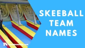 Read more about the article Skeeball Team Names