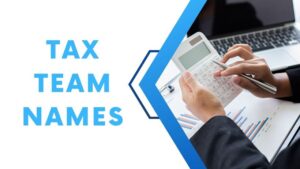 Read more about the article Tax Team Names