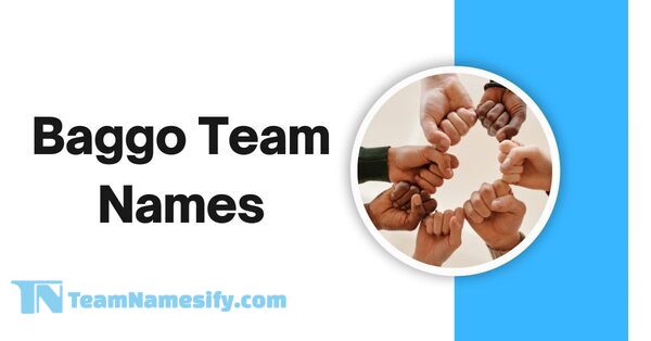 Read more about the article Baggo Team Names