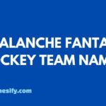 Avalanche Fantasy Hockey Team Names