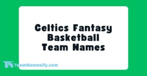 Read more about the article Celtics Fantasy Basketball Team Names