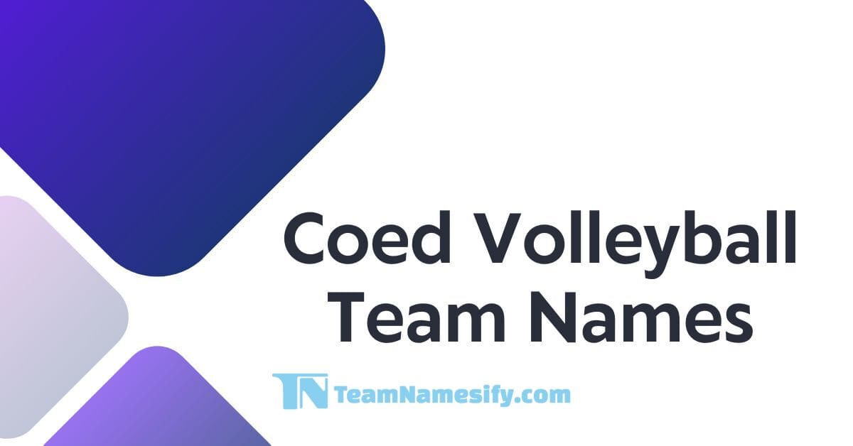 Read more about the article Coed Volleyball Team Names