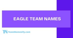 Read more about the article Eagle Team Names