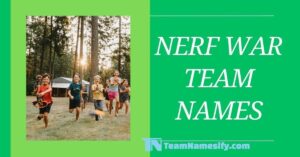 Read more about the article Nerf War Team Names