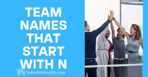 Read more about the article Team Names That Start With N