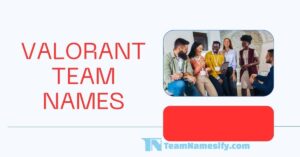 Read more about the article Valorant Team Names