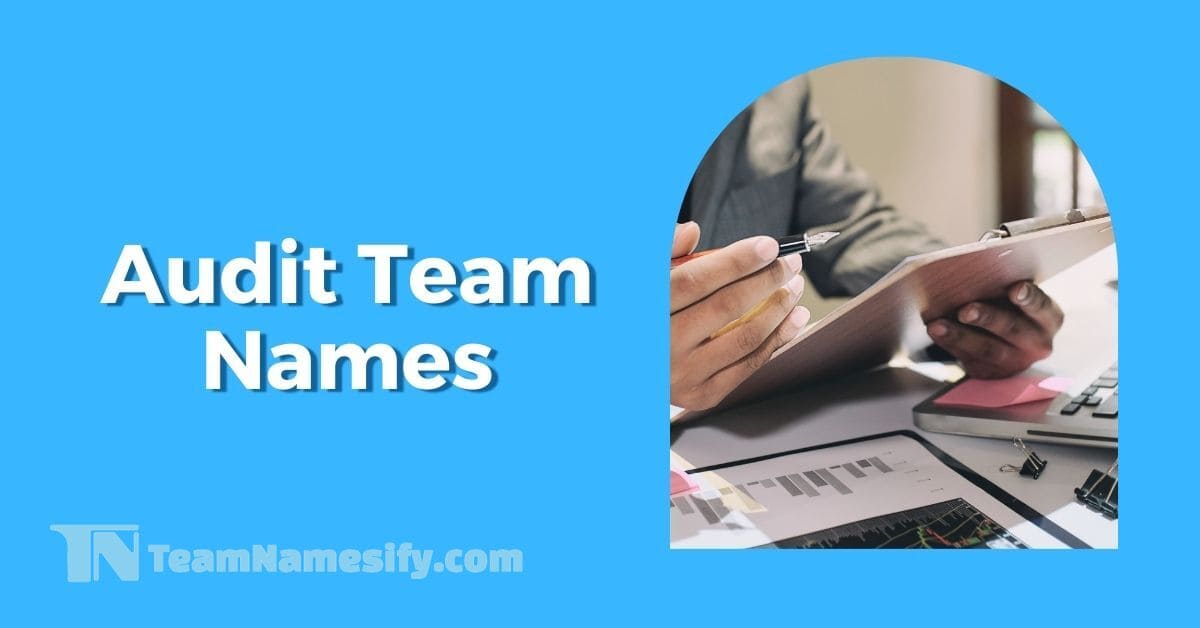 Read more about the article Audit Team Names