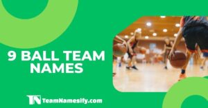 Read more about the article 9 Ball Team Names
